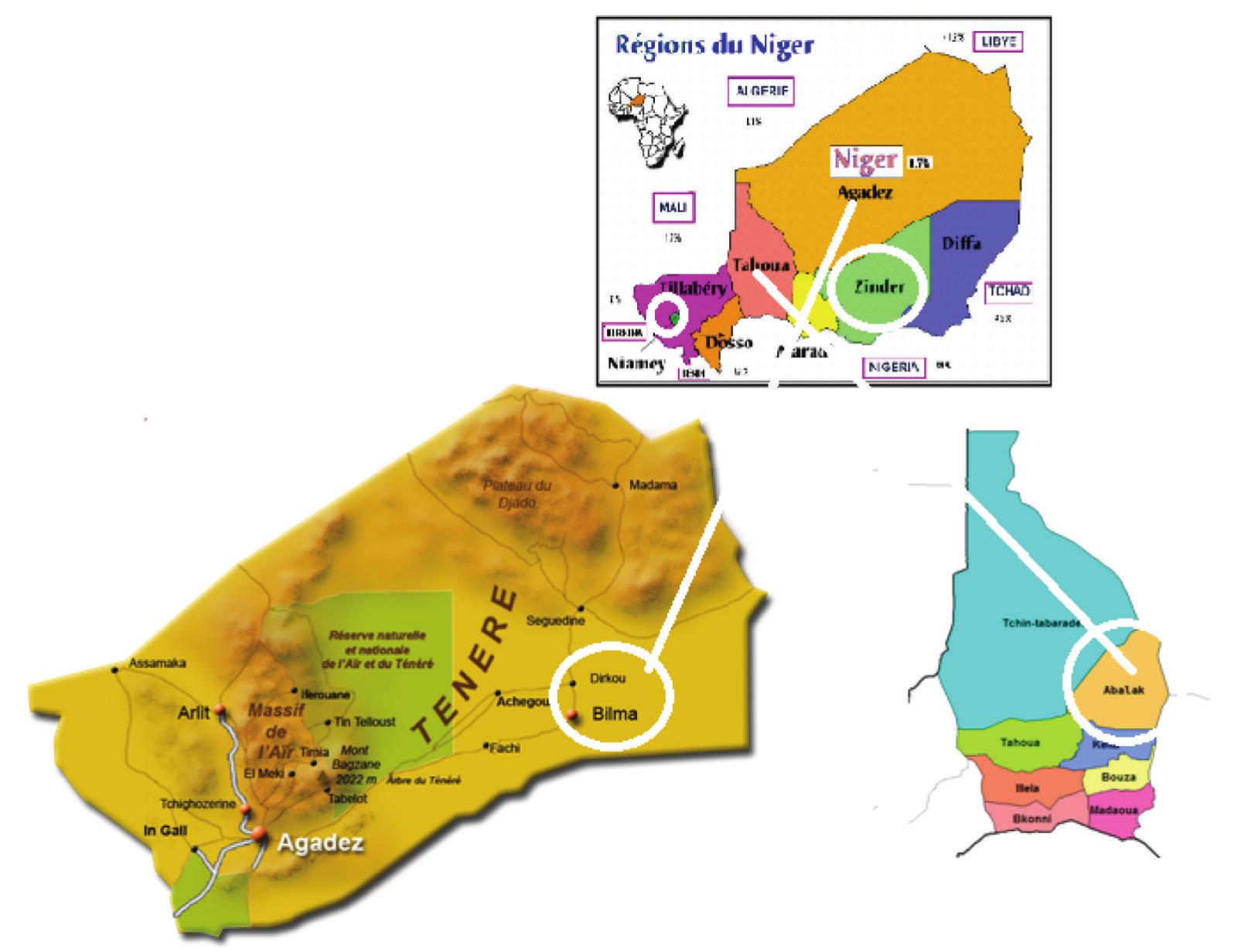 Ficure 1: Map of Niger and the sampling different localities. 