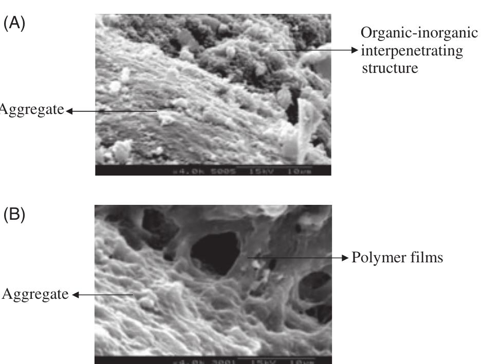 (PDF) Effect of Styrene-Butadiene Rubber Latex on Mechanical Properties ...