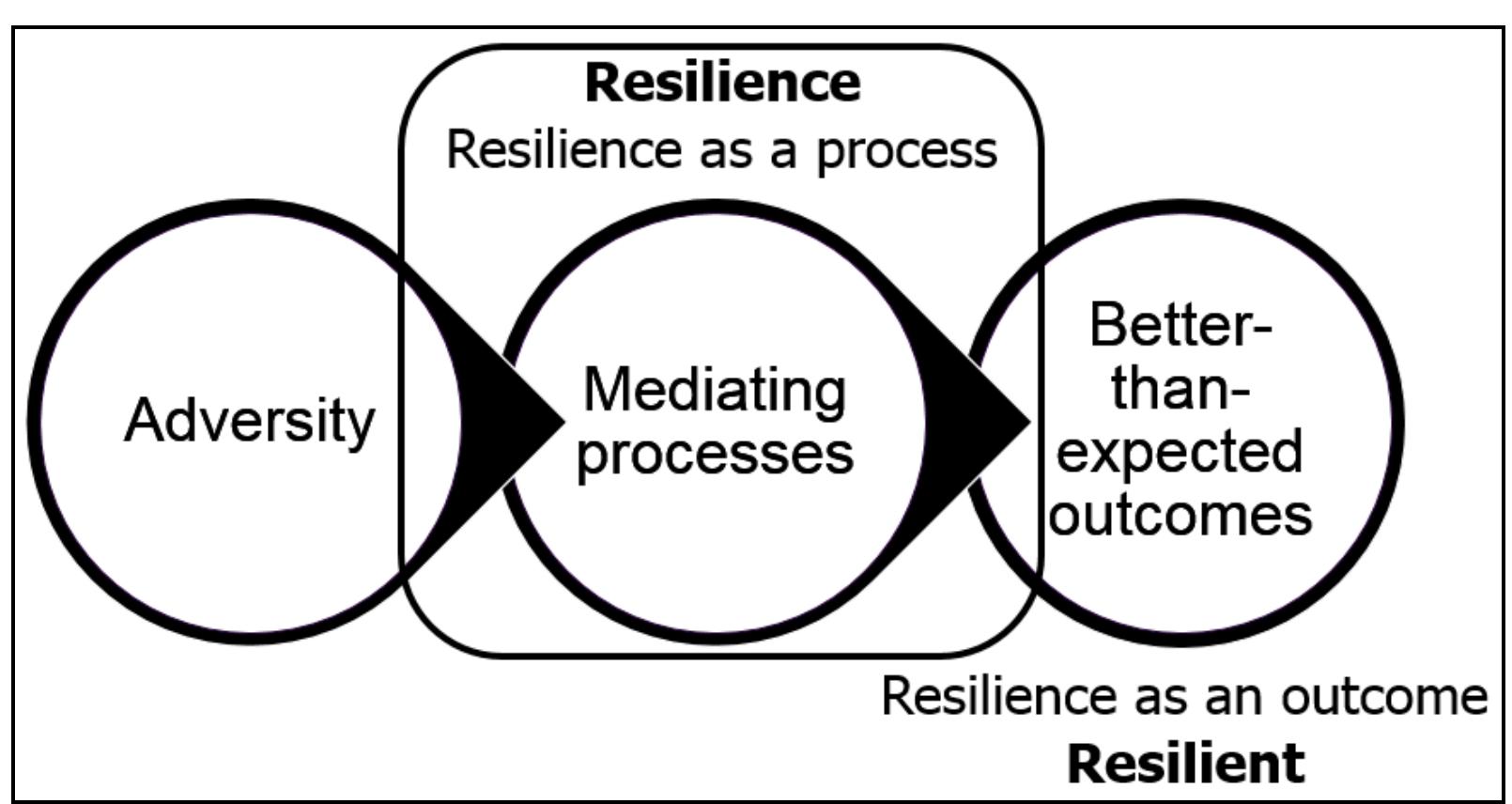 (PDF) A Critical Review of Resilience Theory and Its Relevance for ...