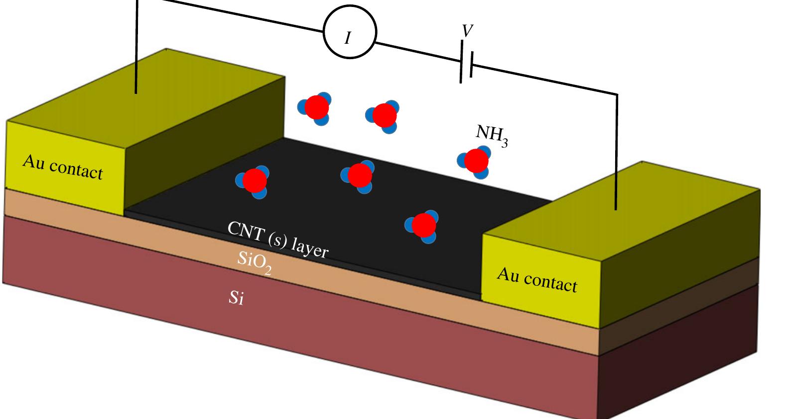 Schematic of a cnt gas sensor. the cnt layer is used between
