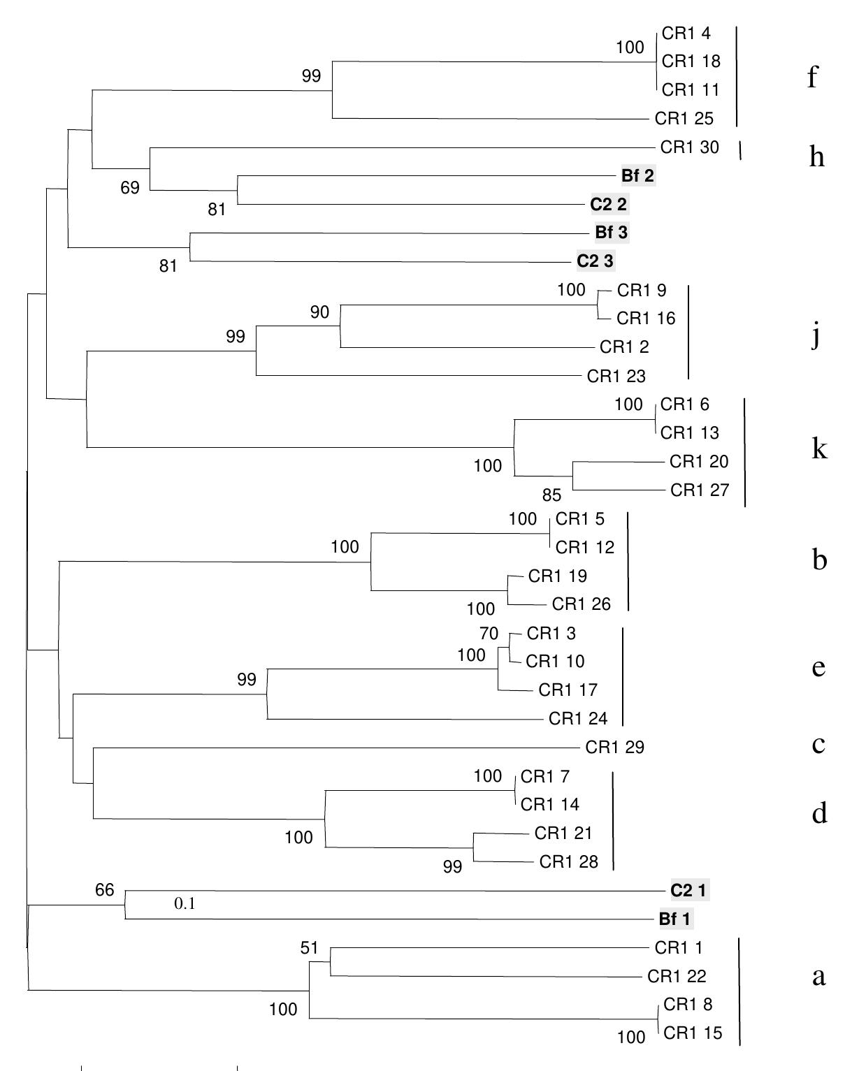 Figure 1 - from Genetics of human complement component C4