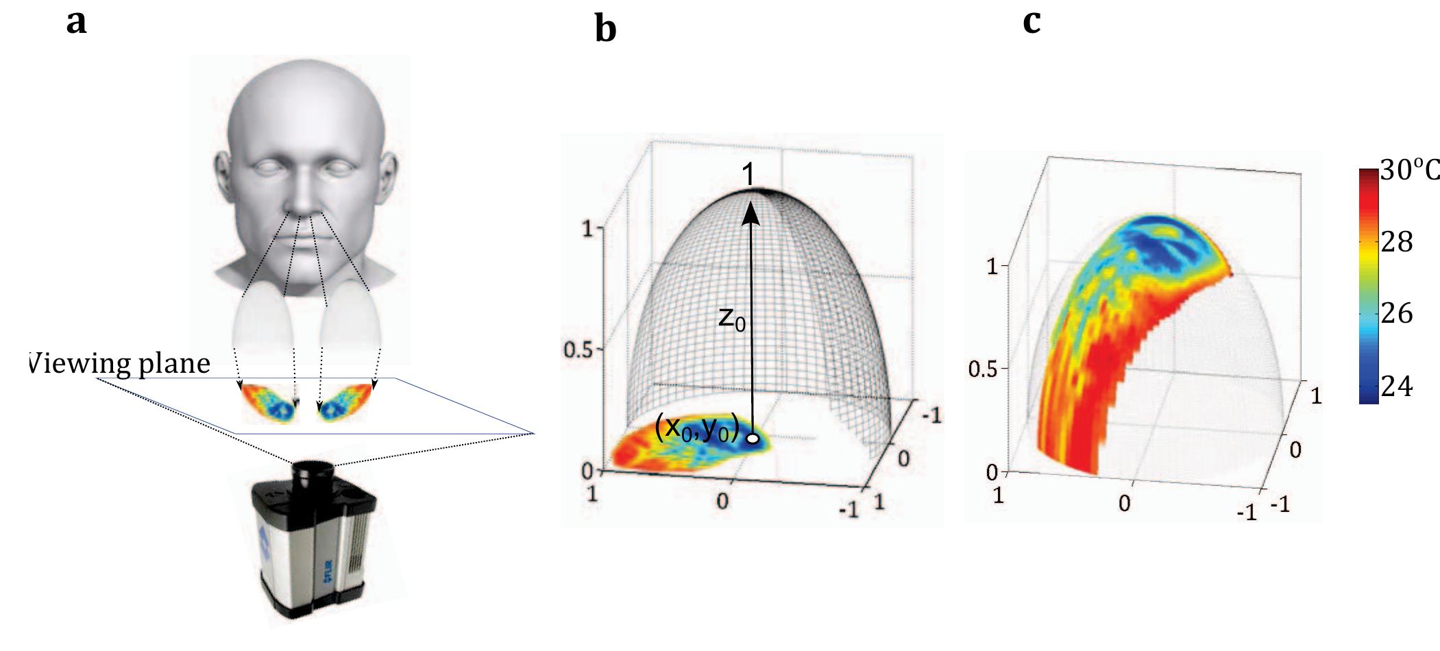 Figure 3. a, Experimental layout. b, Ellipsoid modeling of the nasal airway and its arrangement with respect to the thermal image of the left nostril. c, Mapping of the hermal image to the ellipsoid surface viewable through the nose’s alar. 