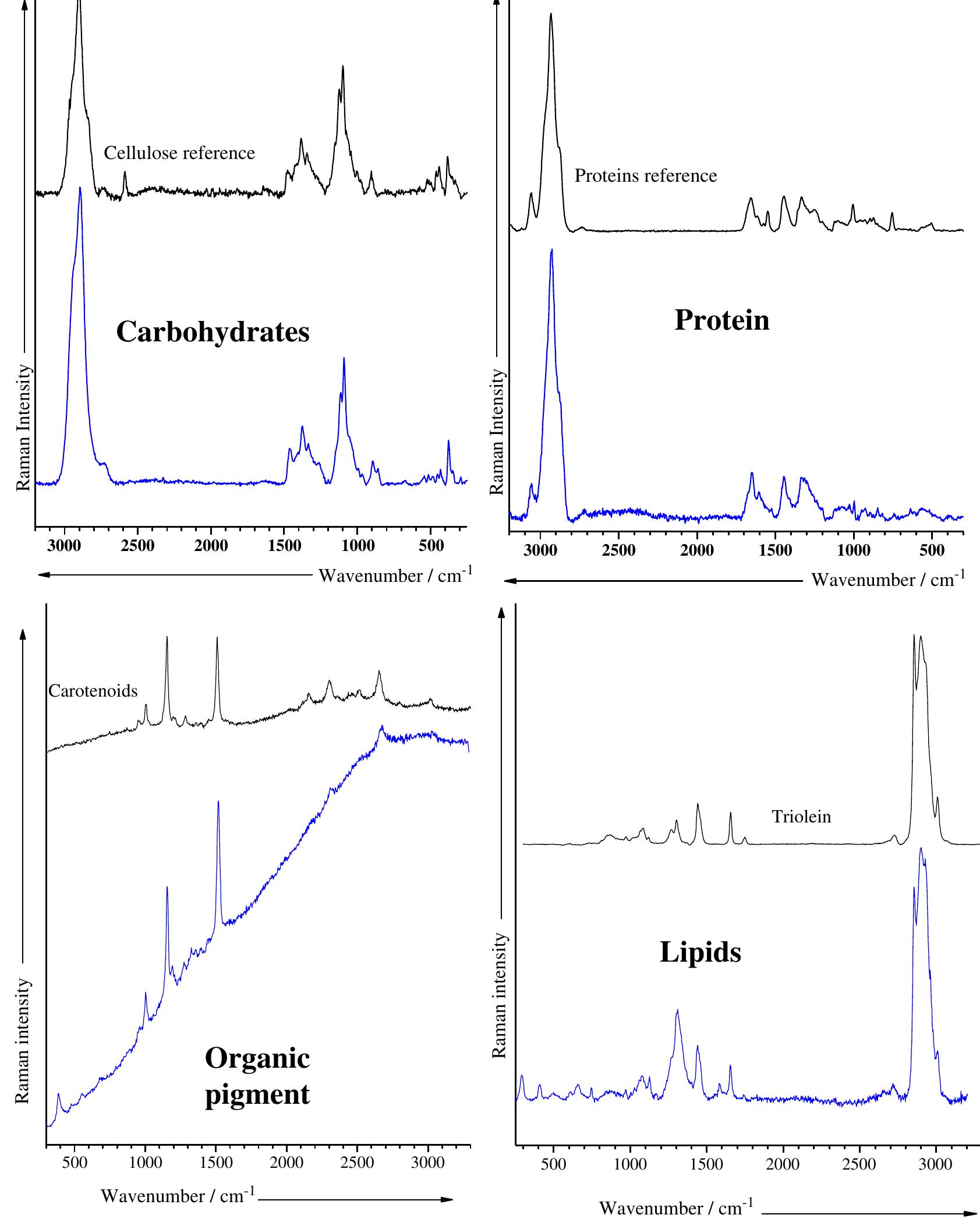 Raman spectra of the different organic materials associated