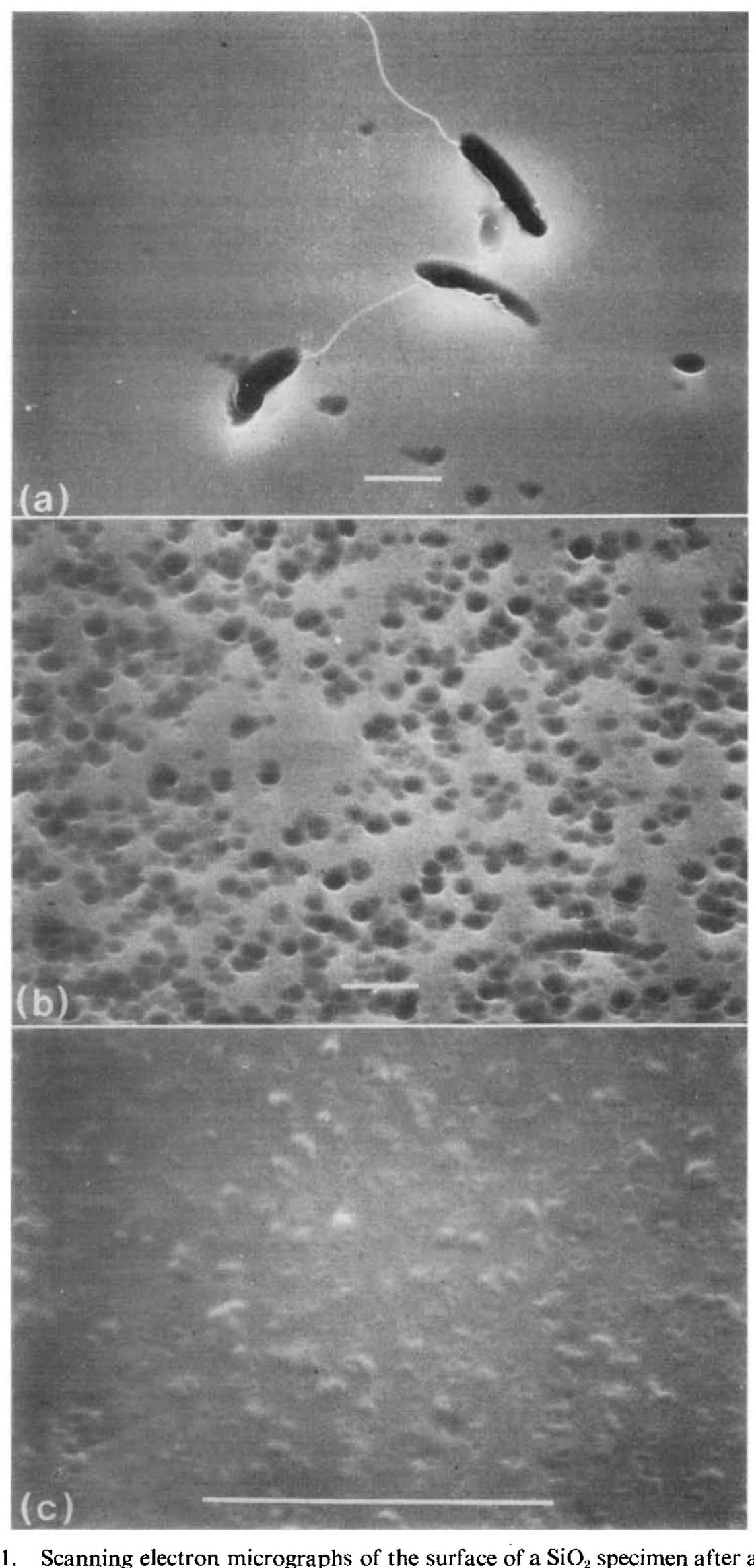 Figure 1 - The diffusion of Fe3+ in amorphous SiO2 and the