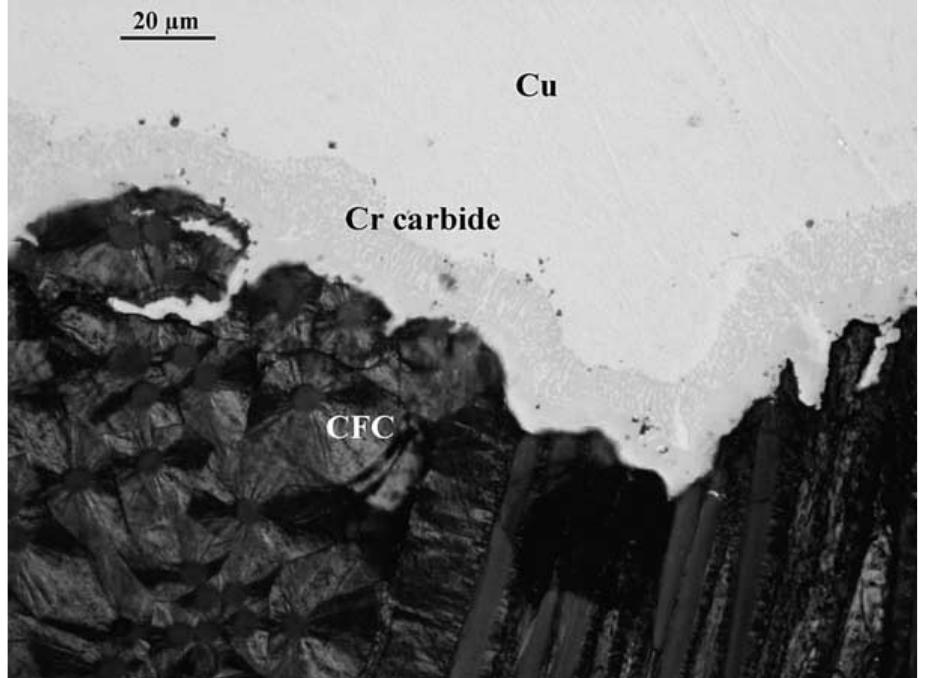 Cfc Substrate Optical micrograph of the cross-section of a chromium