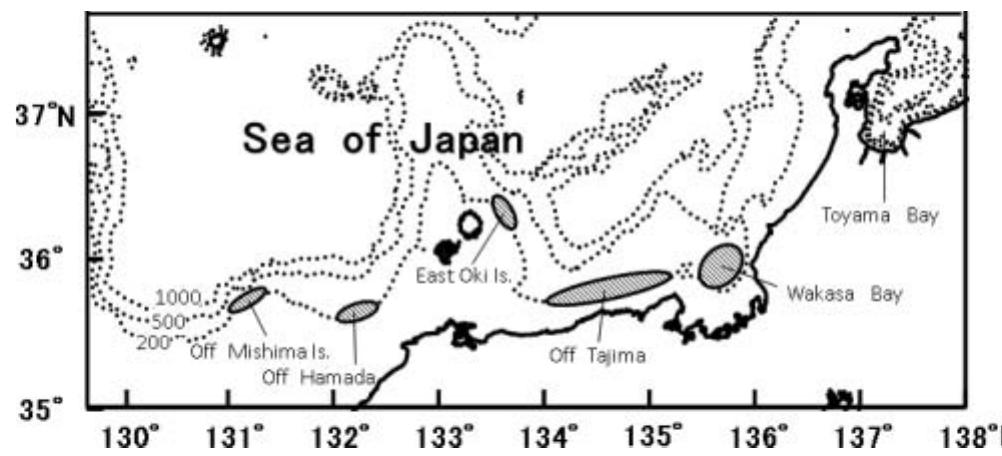 PDF) World Squid Fisheries - Biology