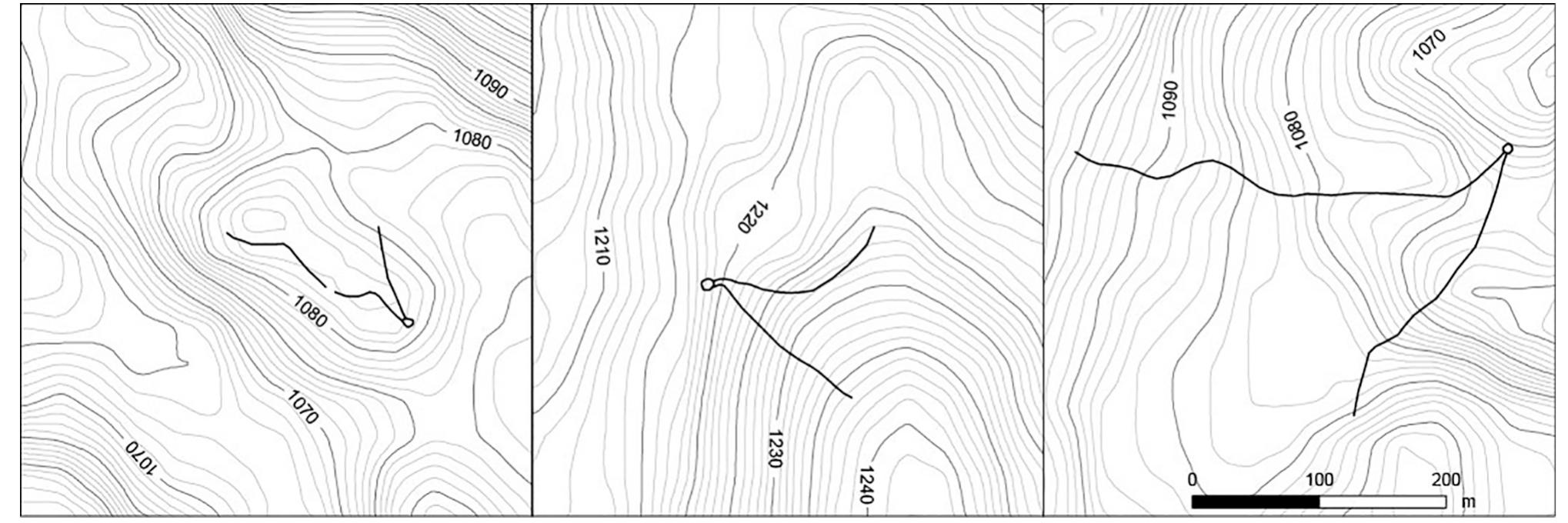 Fig. 3. Examples of V-shaped kites in the region south of Tabuk. 
