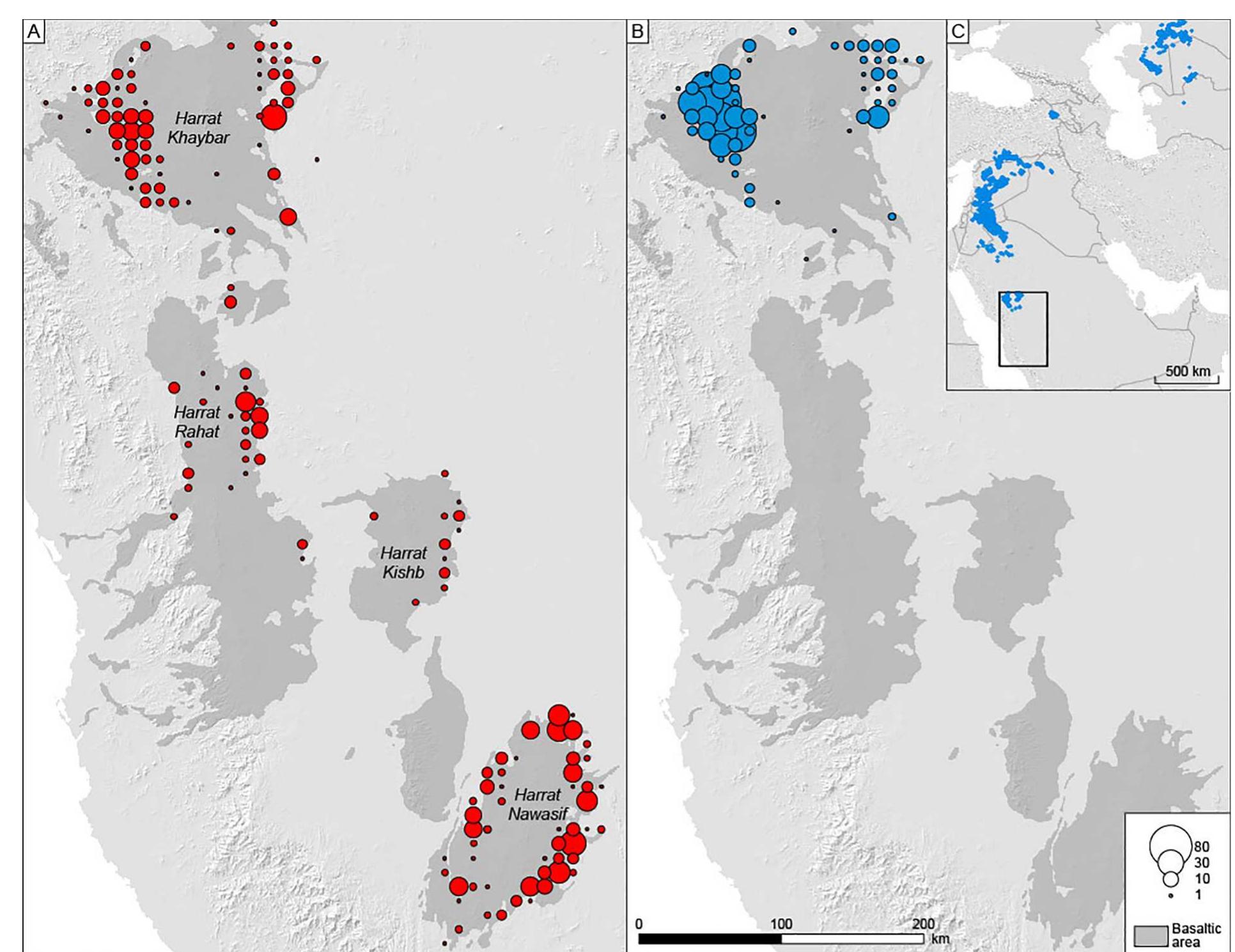 Fig. 4. Distribution area of open kites (A) and kites (B) in Western Arabia. Circles are proportional to the number of constructions counted in 10-km-square grids. Location of the study area in the geographical range of kites (C) (supplementary data, 3). 