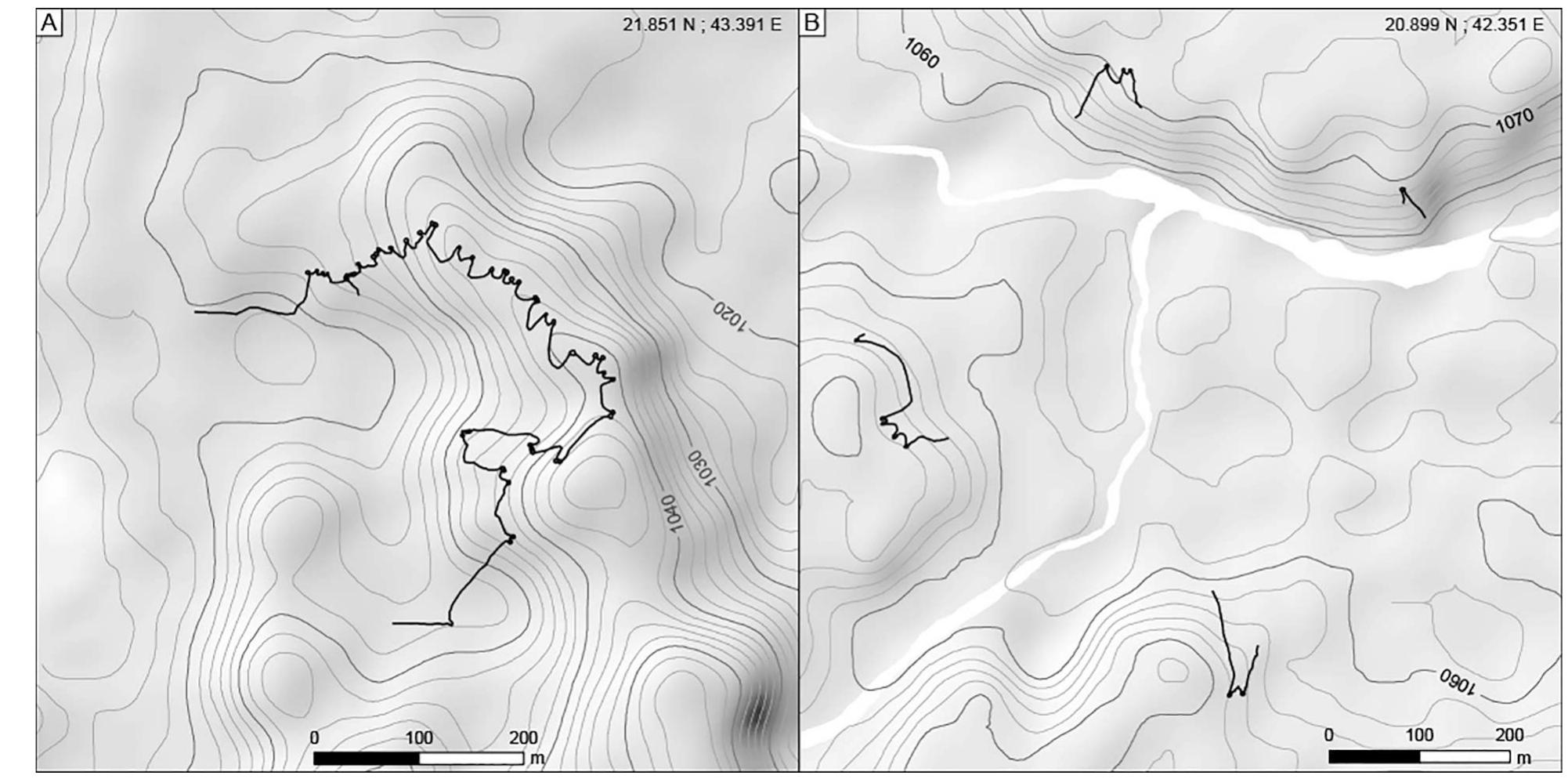 Fig. 10. Two examples of the topographical layout of open kites. 