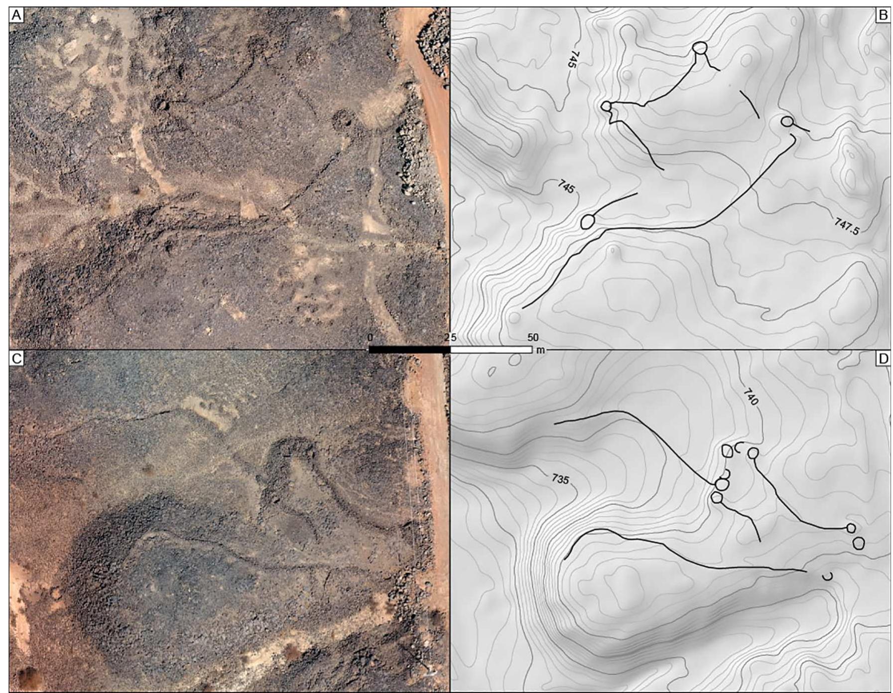 Fig. 14. Aerial pictures of Khaybar complex open kites. A: vertical view of O-AB834 open kite with a difficult to follow layout, it may reflect consecutive uses o: different structures; B: map of O-AB834; C: Aerial pictures of O-AB829 open kite, the funnel entrance and driving lines follow the edge of the thalweg escarpment and the main trapping zone with at least six pit-traps is out of the axis alignment and follows the left driving line; D: map of O-AB829. Photo credits: KLDAP. 