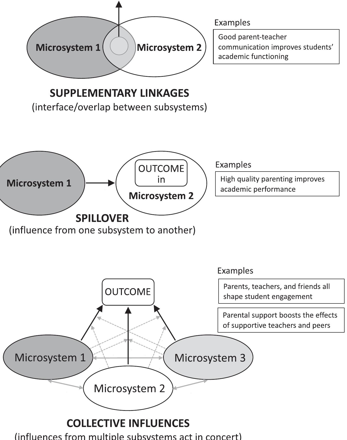 (PDF) The complex social ecology of academic development: A ...