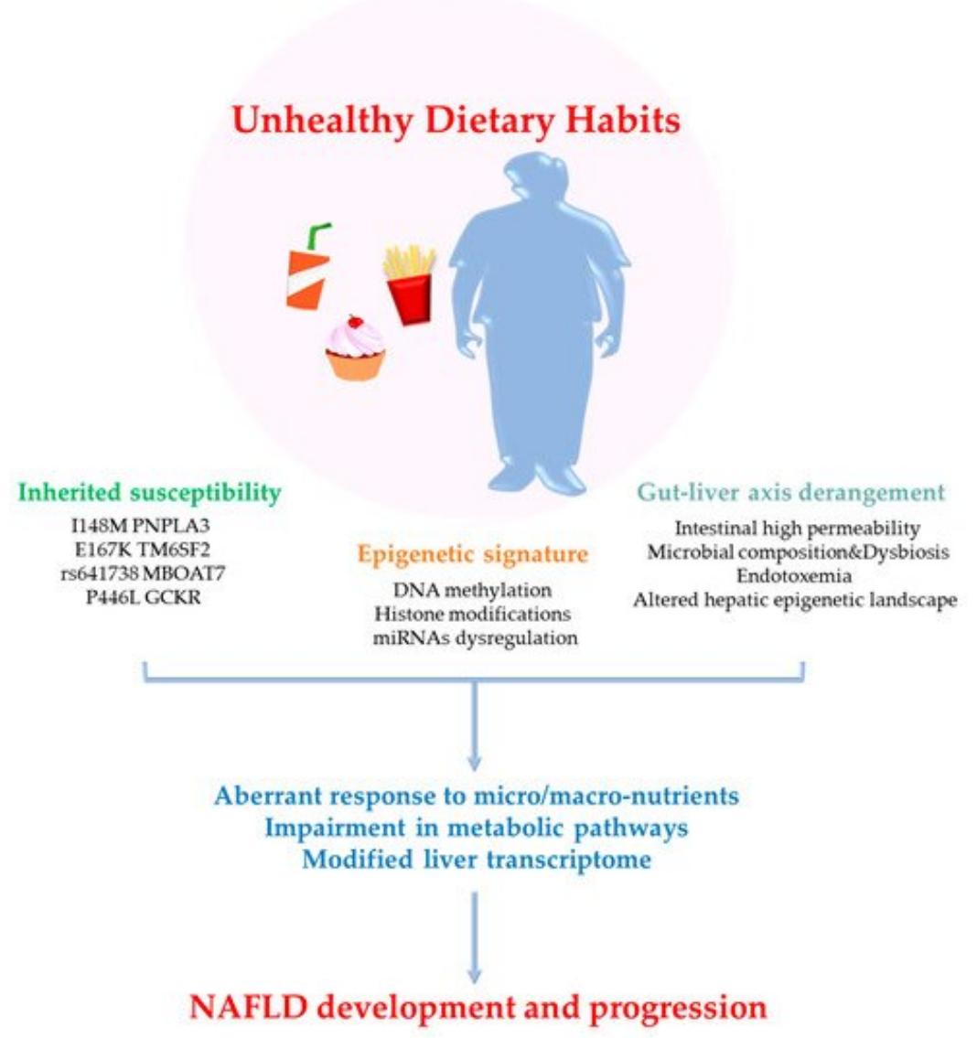 (PDF) Gut Microbiota in NAFLD Pathogenesis and Possible Dietary-Based ...