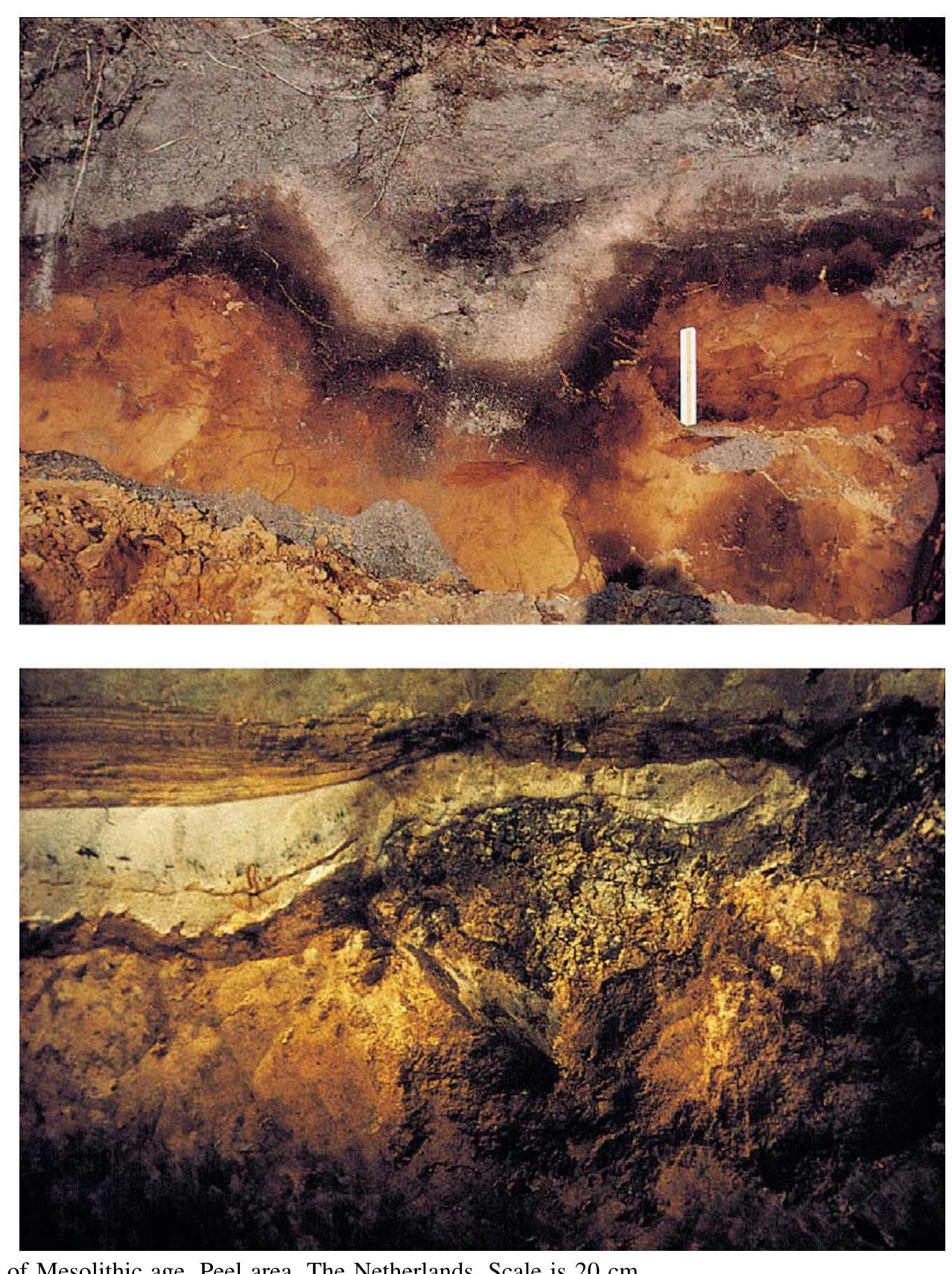 Figure 1 - from Changing the face of the Earth
