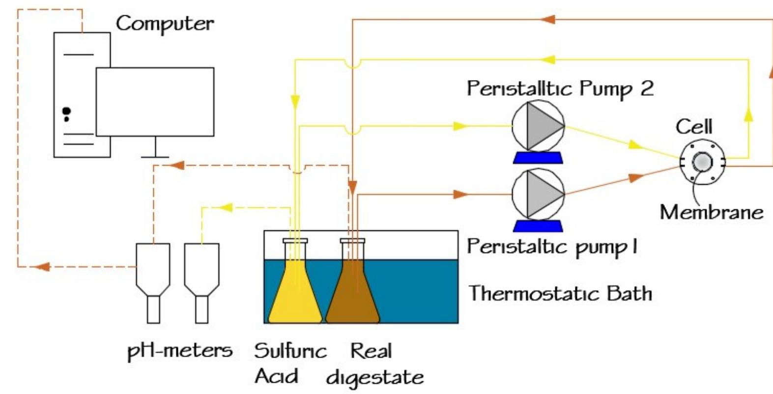 (PDF) A Systematic Study of Ammonia Recovery from Anaerobic Digestate ...