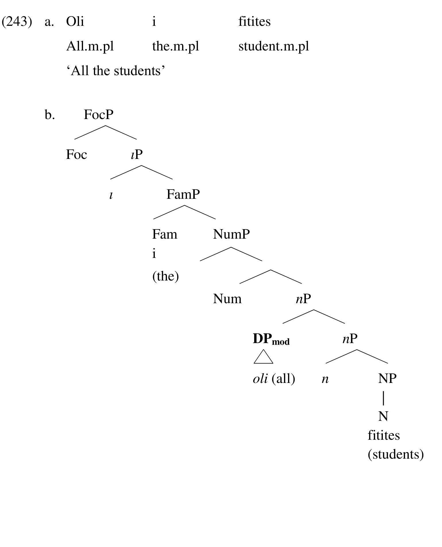 Nump Tree Oli moves to the specifier of focp and np to the specifier