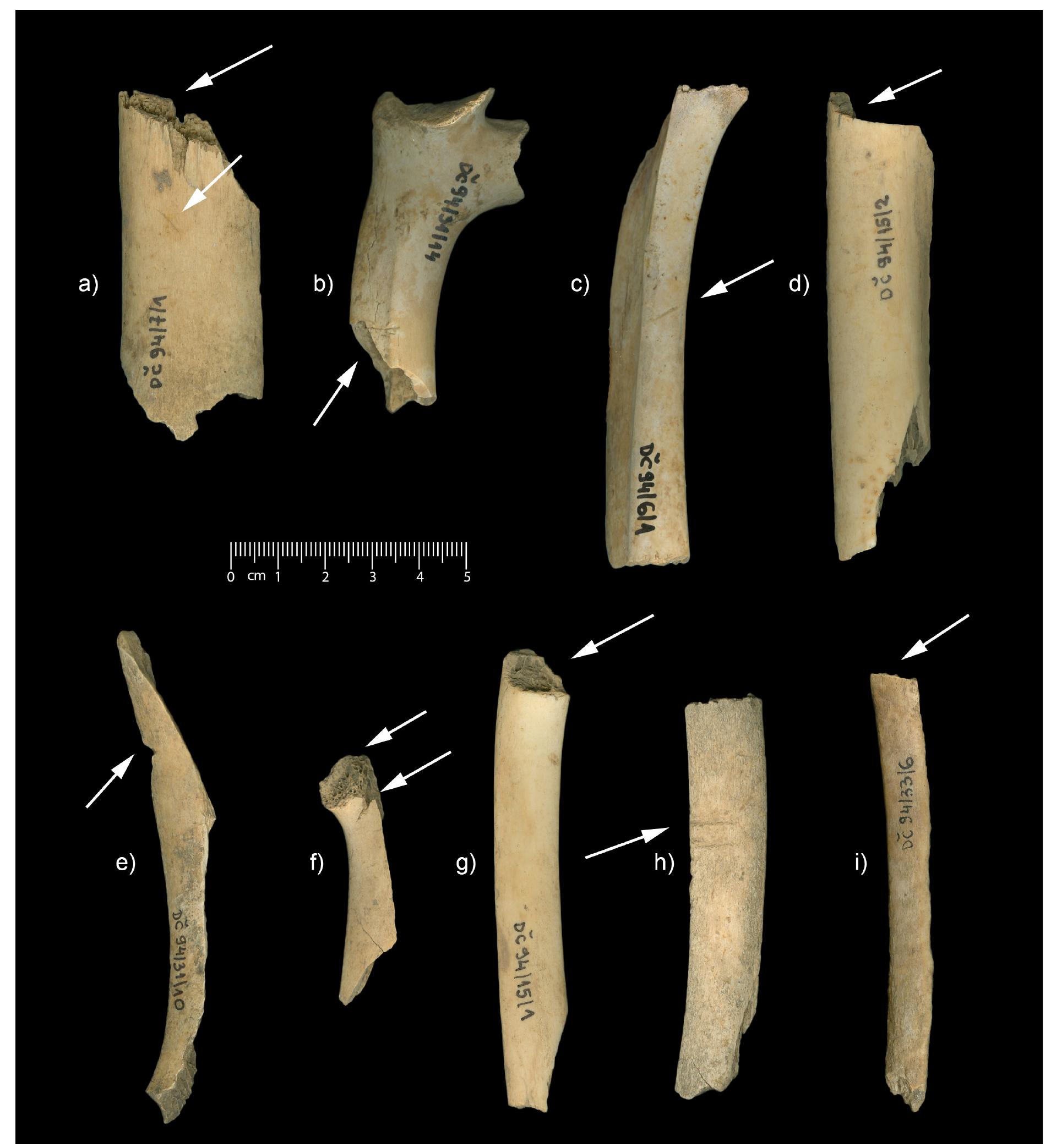 Fig. 8. Butchery marks on the ribs of: (a) - (f) large (cattle-sized) mammals, (g) - (i) medium (sheep-sized) mammals 