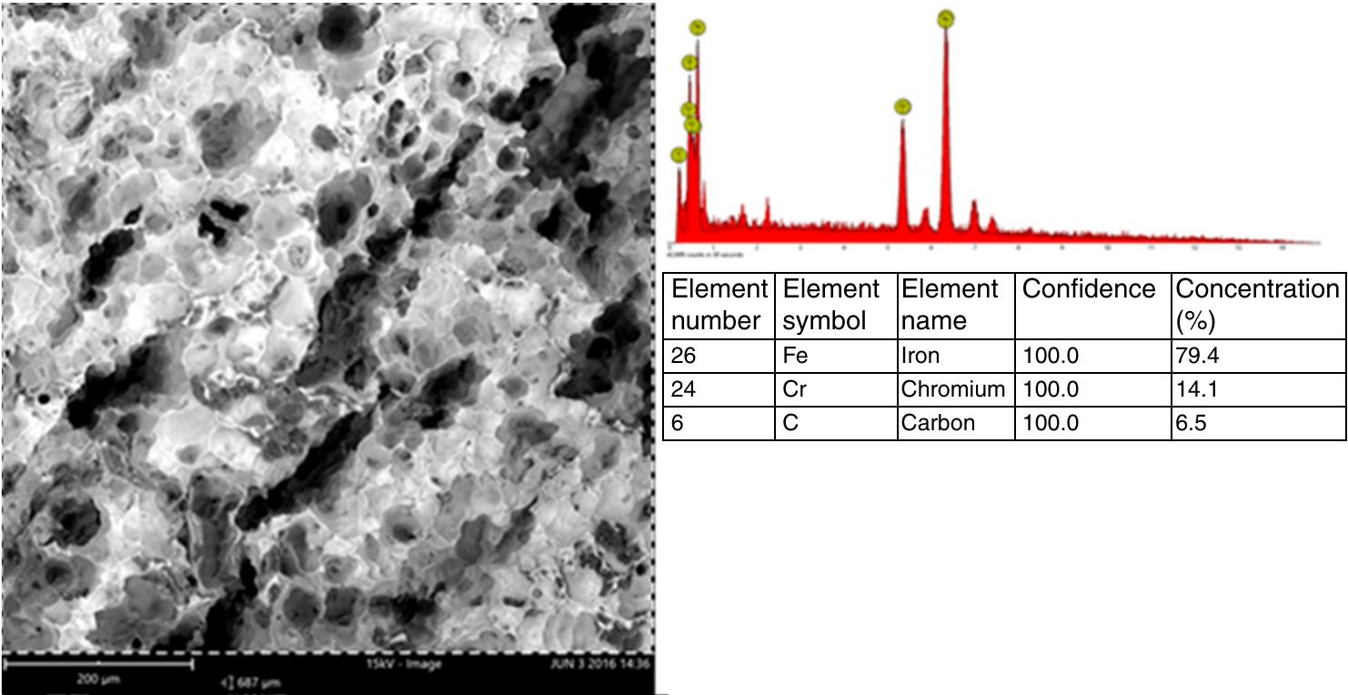 - micrograph of scanning electron microscopy and energy