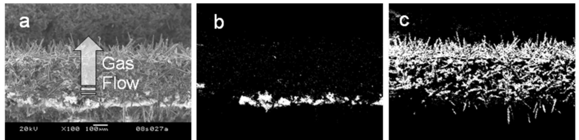 Sem (a) and eds images of a salt-loaded sample showing (b)