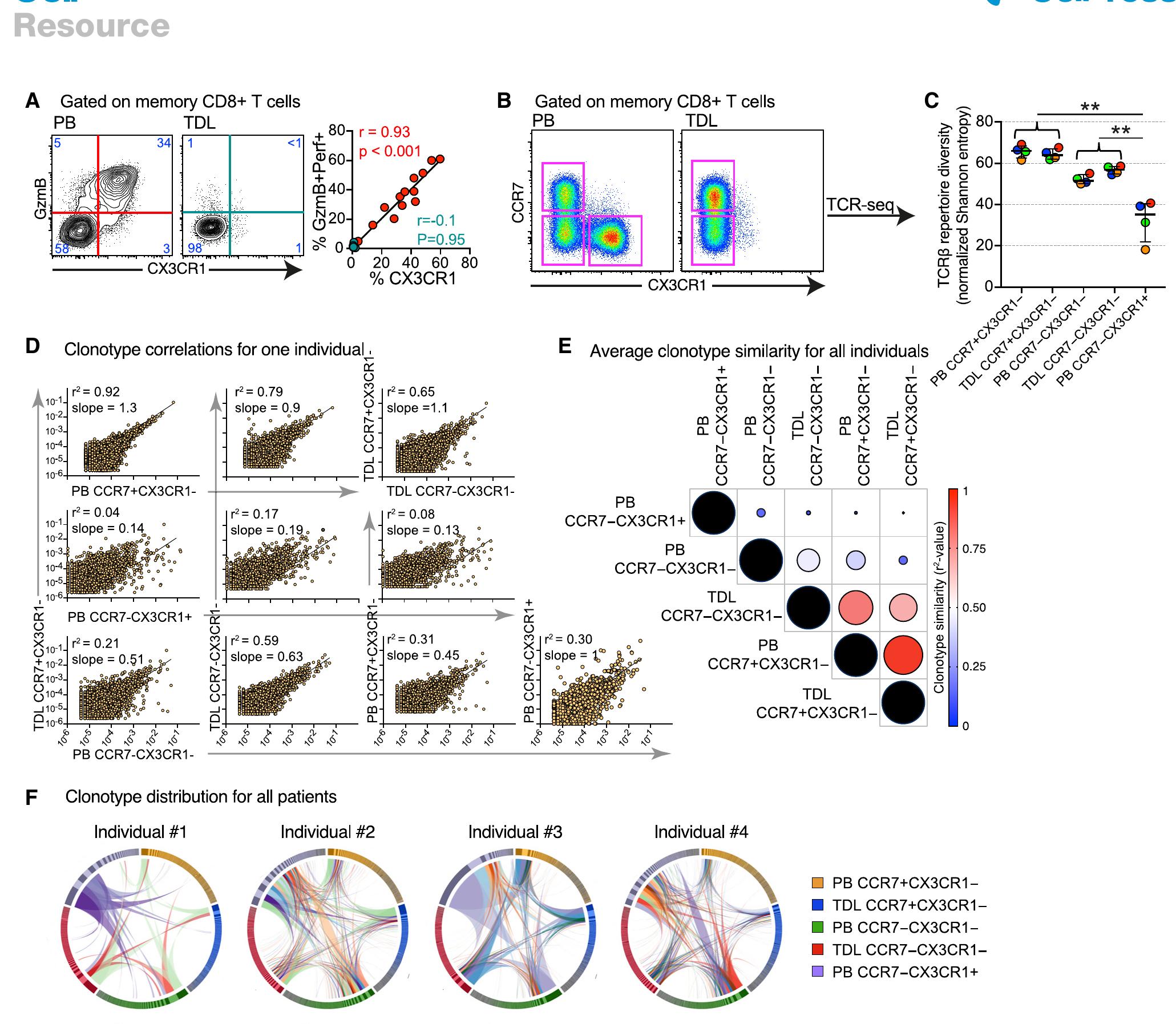 (PDF) The identity of human tissue-emigrant CD8+ T cells