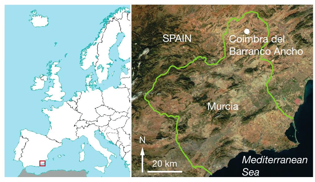 “IG. 1. — Location of the Coimbra del Barranco Ancho site. 