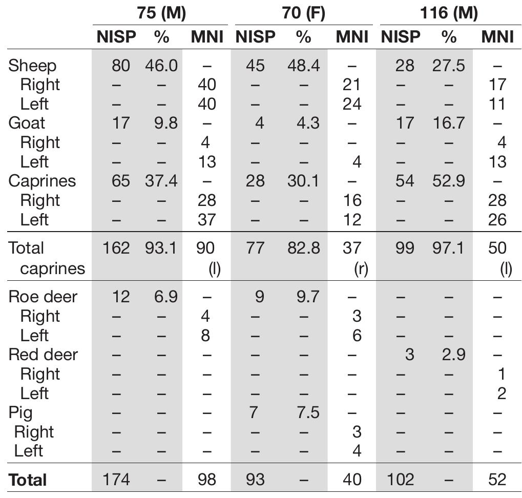 TABLE 3. — Number of identified specimens (NISP) and minimum number of individuals (MNI) obtained from knuckle bones/astragali of Sheep (Ovis Aries Linnaeus, 1758), Goat (Capra hircus Linnaeus, 1758), indeterminate caprines, Roe deer (Capreolus capreolus Linnaeus, 1758), Red deer (Cervus elaphus  Linnaeus, 1758) and Pig (Sus scrofa Linnaeus, 1758) in graves 75, 70 and 116. Abbreviations: F, female; I, left; M, male; r, right. 