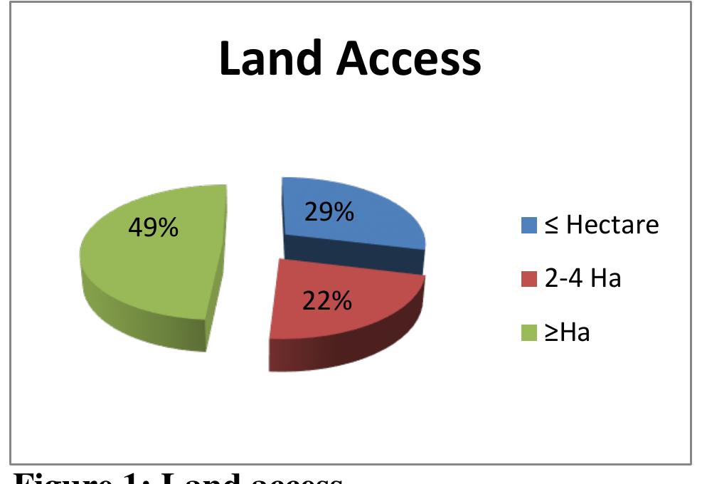 4.3 Arable land production  While all the surveyed households have access to land, arable cultivation was only limited to gardens’ (71%), not the arable fields as shown in Figure 2. Furthermore, there are some households who do not cultivate neither gardens nor fields. In this respect, there is quite a large  body of knowledge on the declining rural household arable farming (Andrew & Fox, 2004; De La Hey & Beinart, 2016; Ngcaba, 2002). 