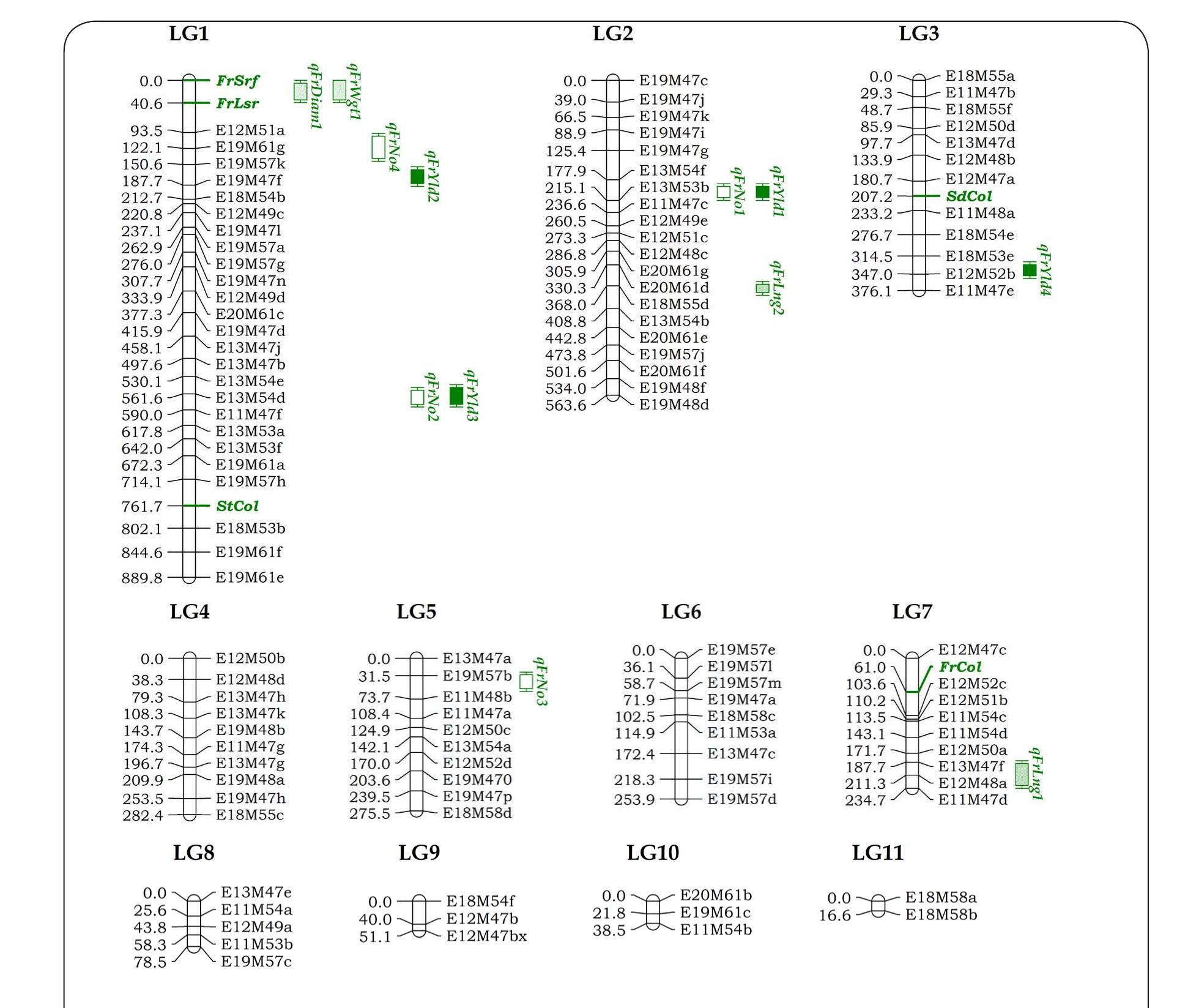 Genetic linkage map and qtls. qualitative traits are shown