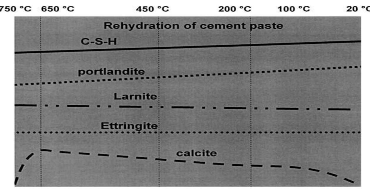 16 the rehydration of dehydrated cement paste phases
