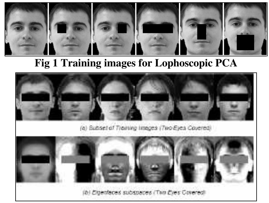 (PDF) Lophoscopic Pca : A Novel Method for Face Recognition