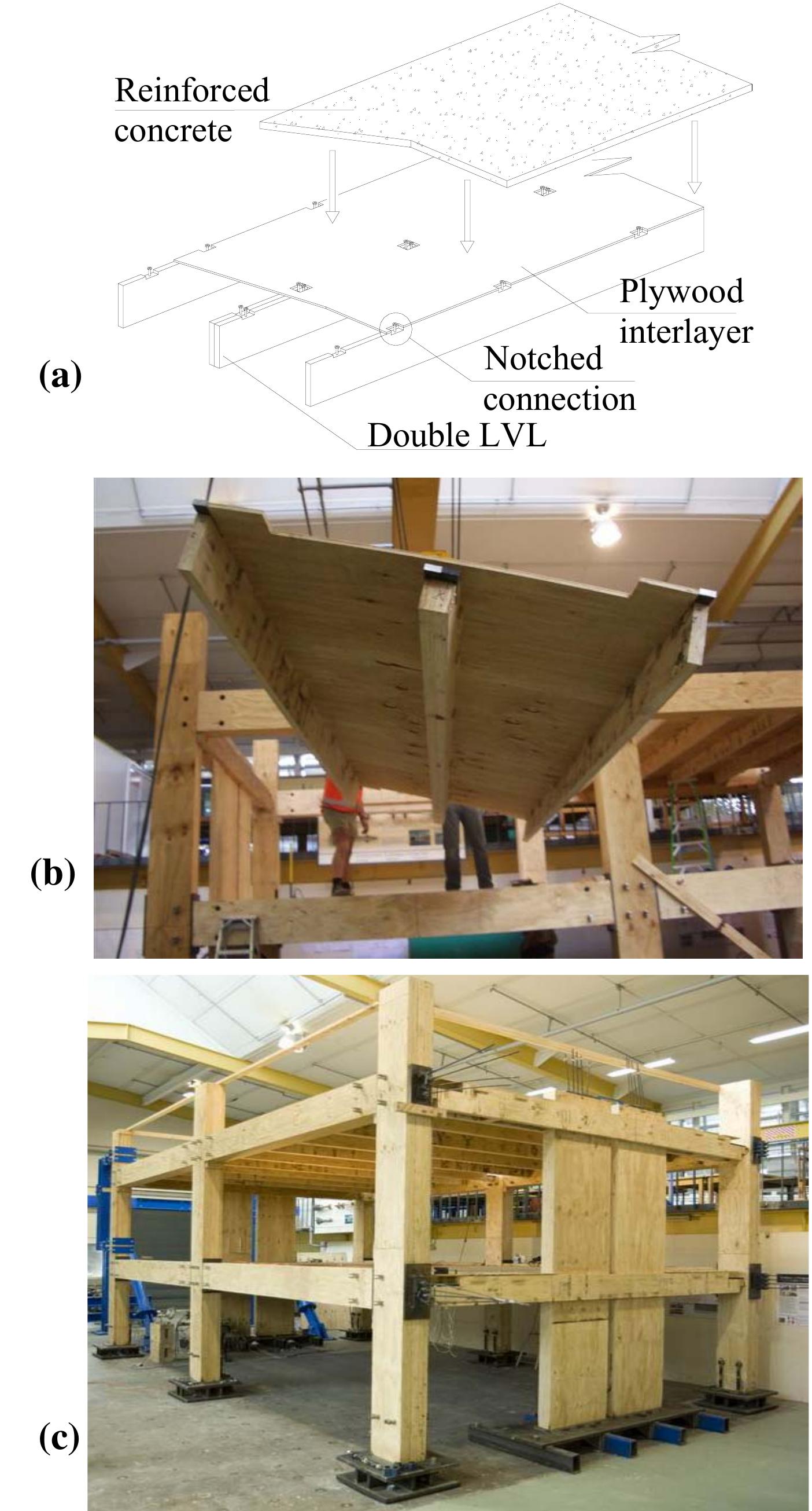 Tcc Structure (PDF) Behaviour and Design of Timber-Concrete Composite Floor System