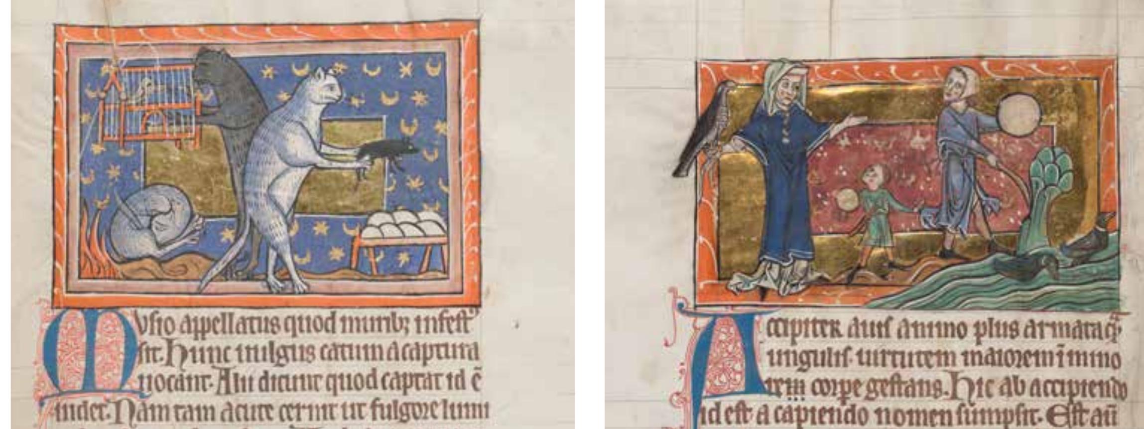 (PDF) Expanding the Bestiary's Meaning: The Case of Bodleian Ms. 764
