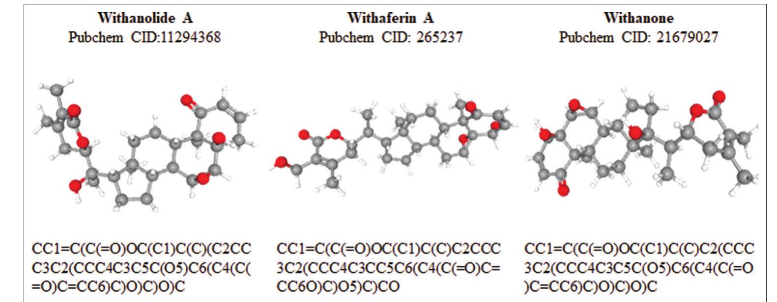 Figure 1 - from An in silico approach towards exploration of