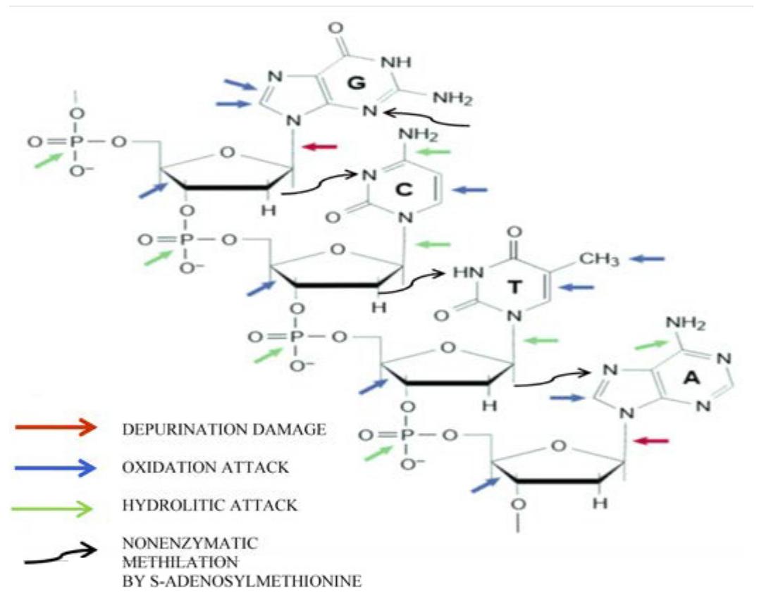 Dispute Revolution - The Kleros Handbook of Decentralized Justice, image size:1077x845