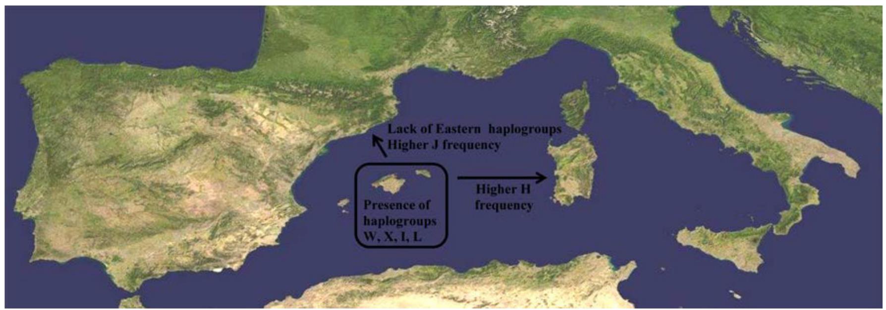 PDF) Ancient DNA: a multifunctional tool for resolving anthropological  questions, image size:1788x625