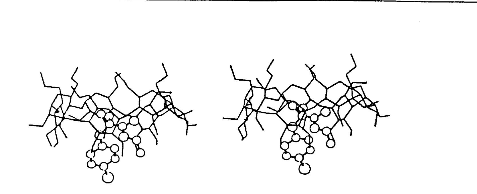 4 stereodiagram of the complex cetmb: a view perpendicular