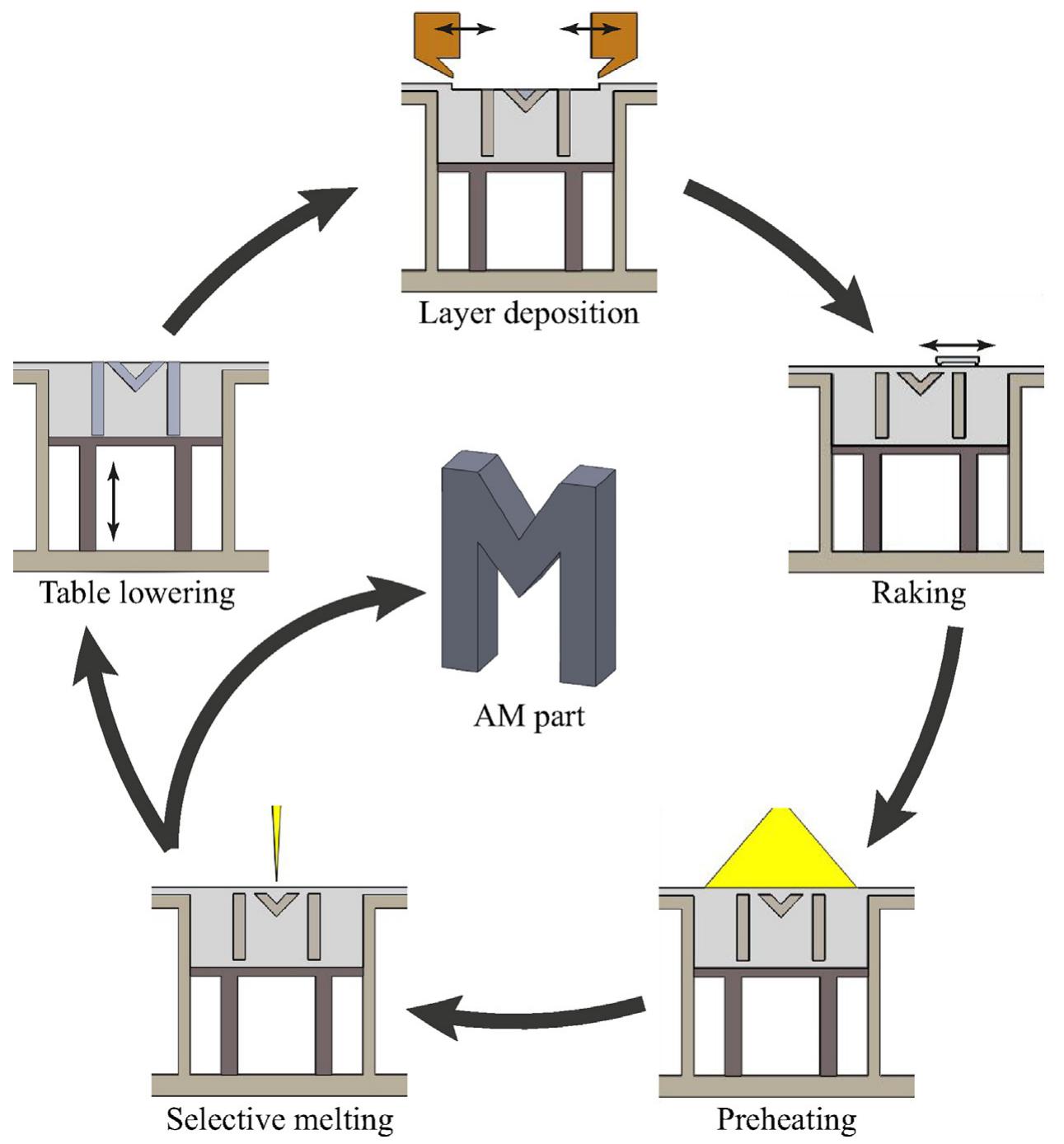The phases of the ebm process.