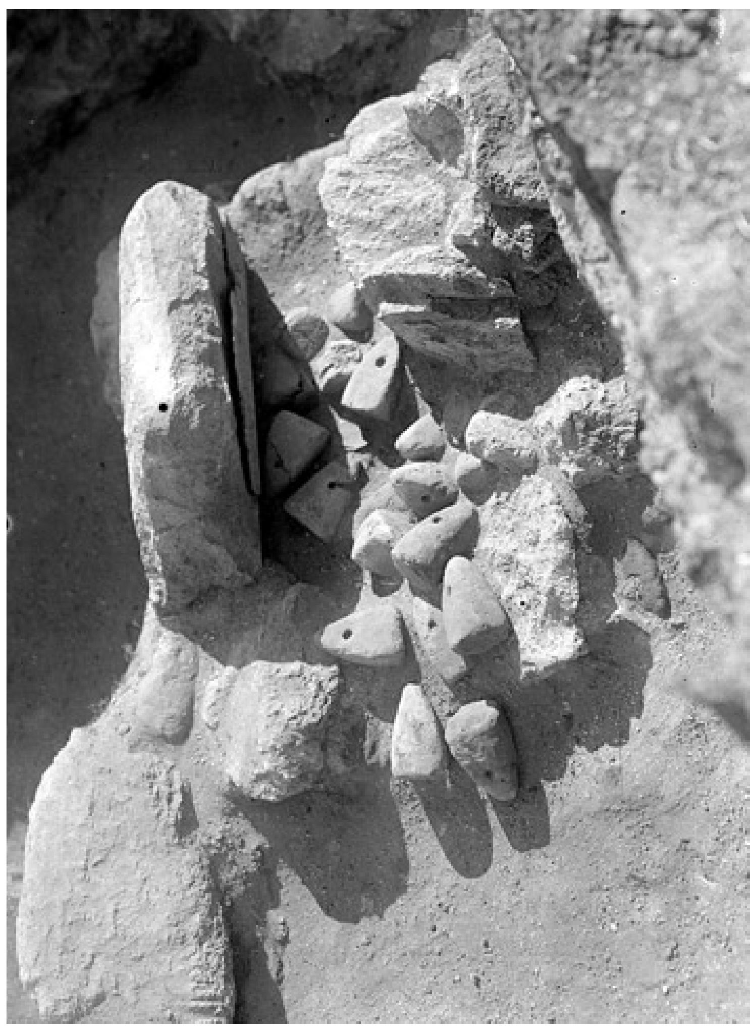 Figure 10 - from The Archaeological Evidence for Fish