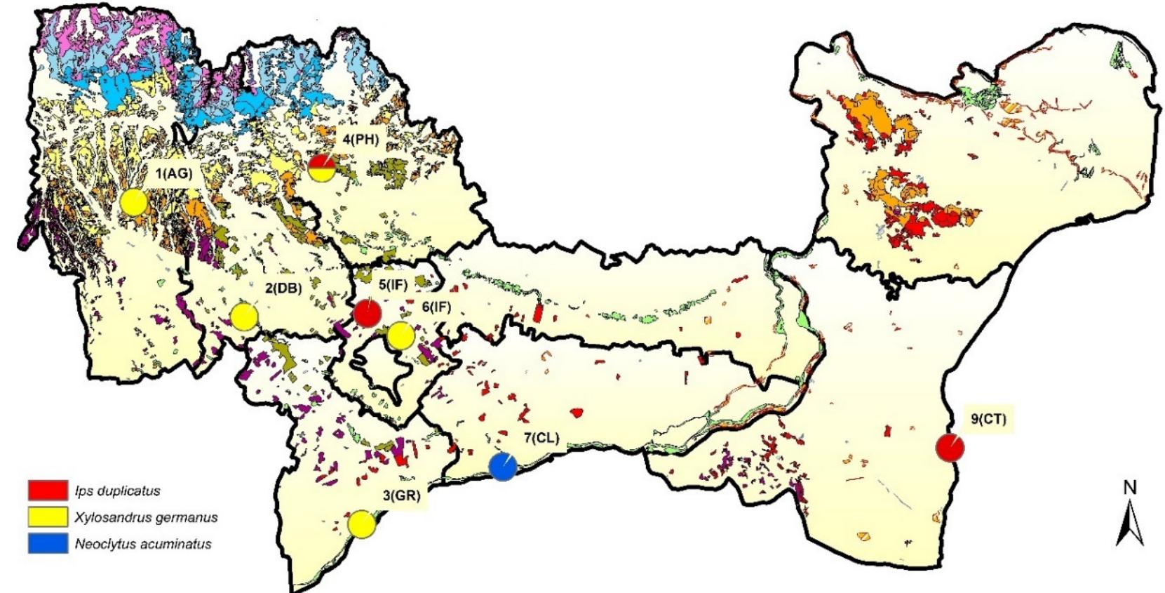 The distribution of invasive forest insect species caught in