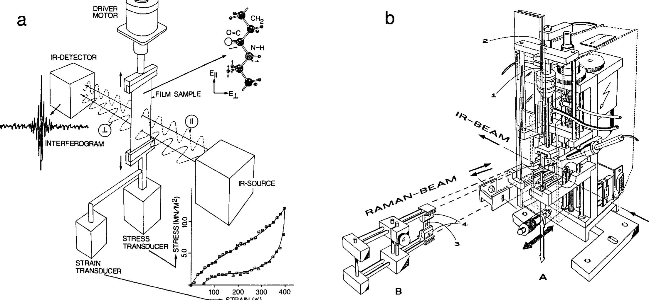 (PDF) Rheo-Optical Fourier Transform Infrared and Raman Spectroscopy of ...