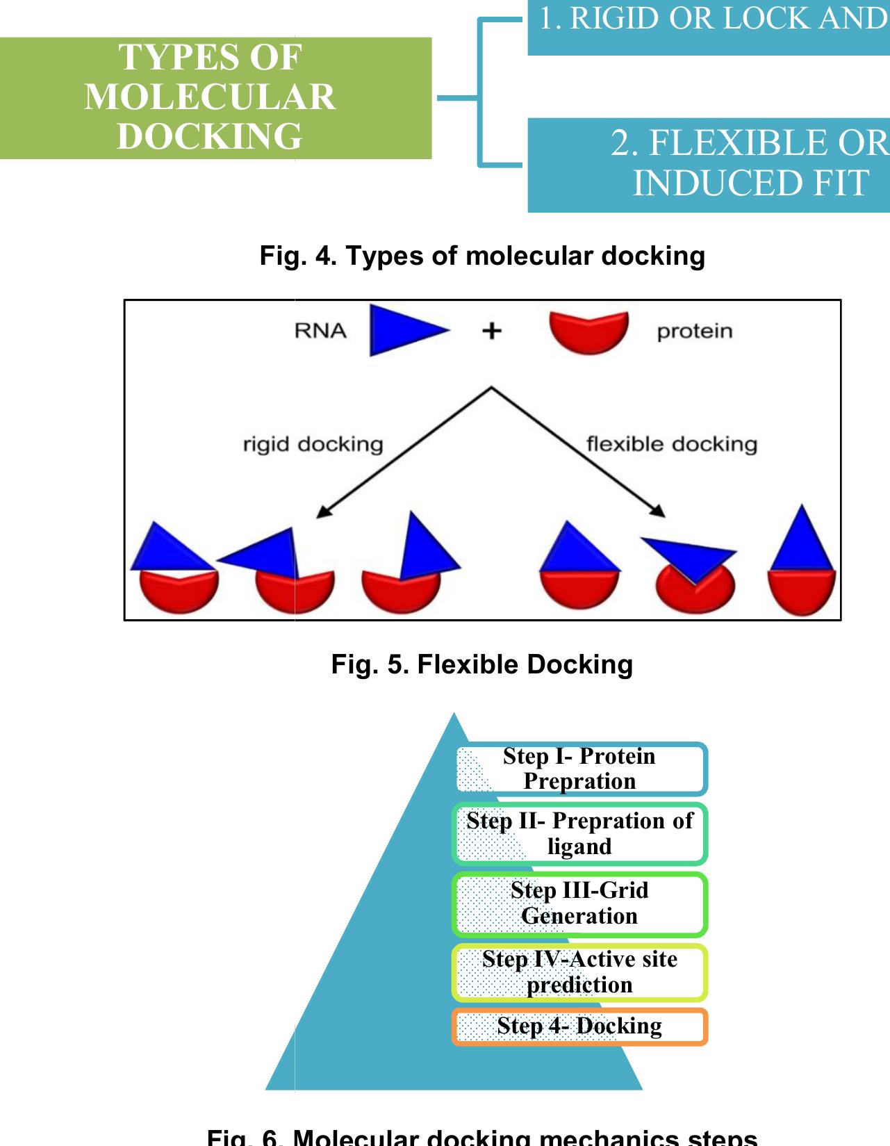 (PDF) Molecular Docking in Drug Discovery