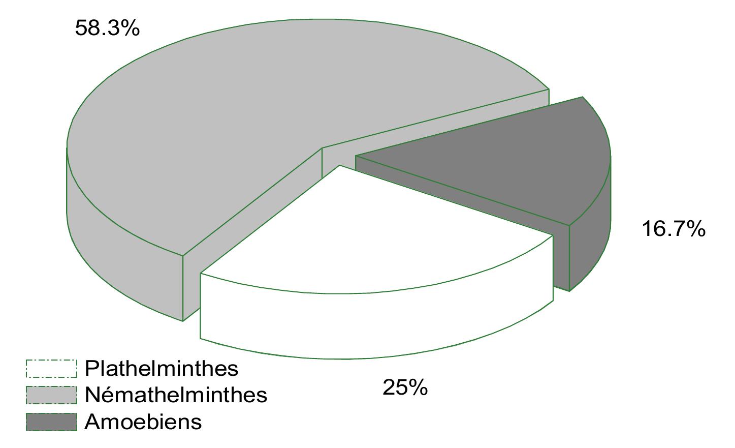 Figure 5 below shows that the digestive tracts of Tilapia tholloni fish are mostly infested by Nemathelminths (58.3%), followed by Plathelminths (25%) and Amoebians are less abundant (16.7%). 