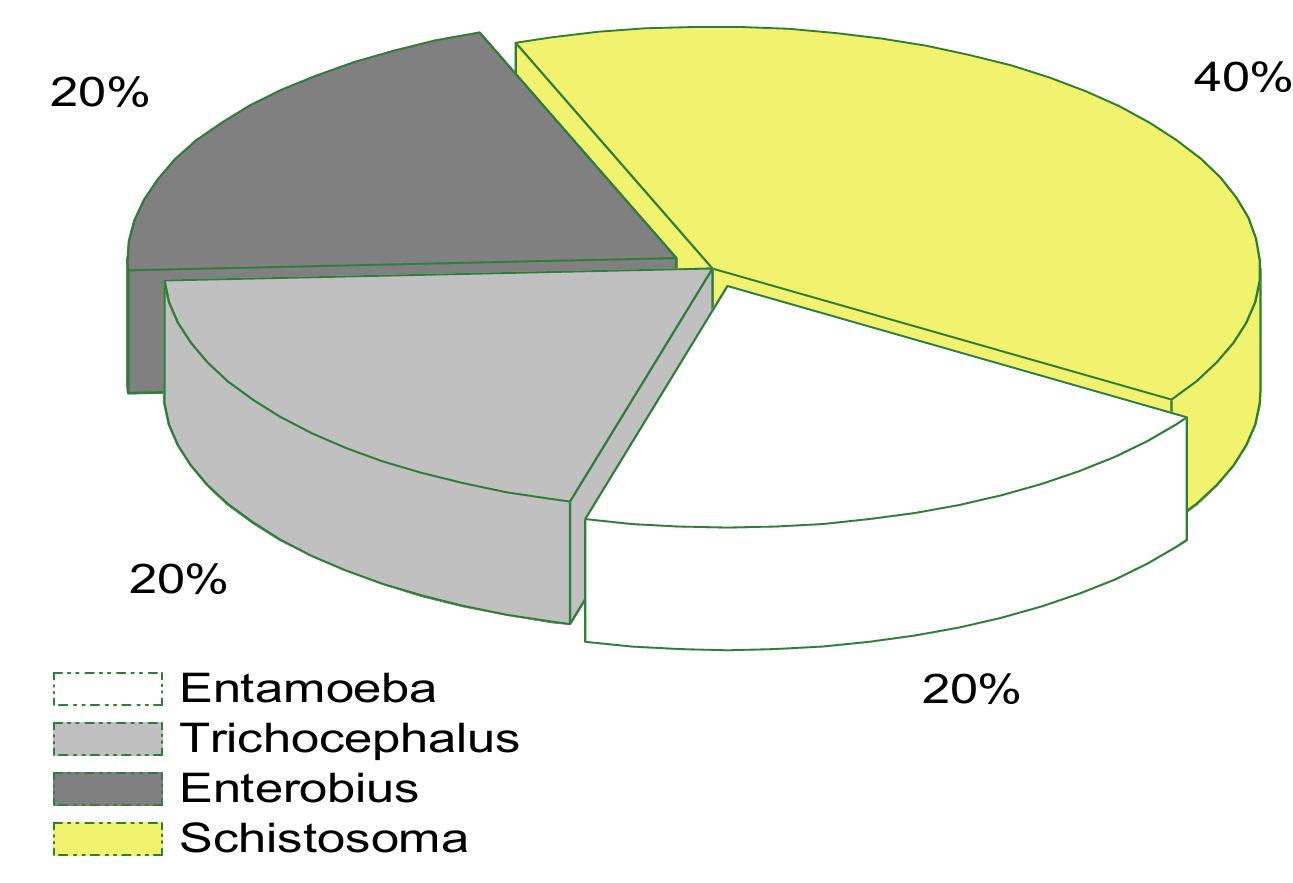 Figure 6. Relative abundance of the genera of parasites identified in the stomach contents of fish Tilapia tholloni 