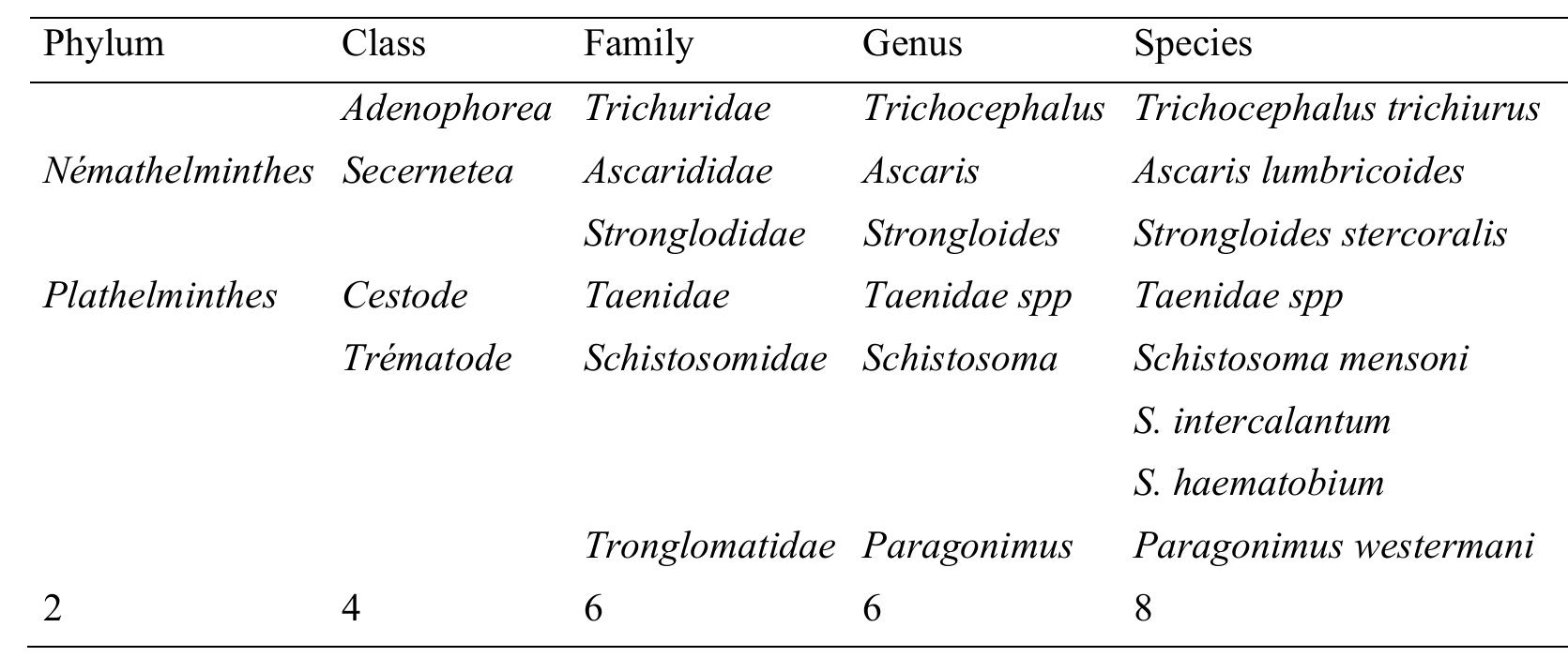 Table 3. Endoparasites identified in the digestive tract of fish Oreochromis niloticus  Microscopic observations made on 42 digestive tracts of Oreochromis niloticus fish reveal the presence of 8 species of endoparasites that have infested these poisons. These parasites are divided into 6 genera, 6 families, 4  classes and 2 branches. Of the 42 digestive tracts of fish analysed, only 32 are positive and 10 others are not infested.  The size classes of the different specimens of Oreochromis niloticus and Tilapia tholloni studied were established according to Sturge's rule. A total of 64 specimens of O. niloticus fish were grouped into 7 size classes. The sixth class (size range: 239mm to 273 mm) is the one with a large number of individuals (i.e. 15 fish) and the second class (size range: 99 mm to 133 mm) has fewer specimens (i.e. 5 individuals). The fish Tilapia tholloni has 42 specimens grouped in six size classes, of which the sixth class (size between 261 mm and 298.3 mm) has the majority of fish (i.e. 10 specimens) and the third class (size range: 144 mm to 182 mm) has fewer fish (i.e. 4 individuals). 