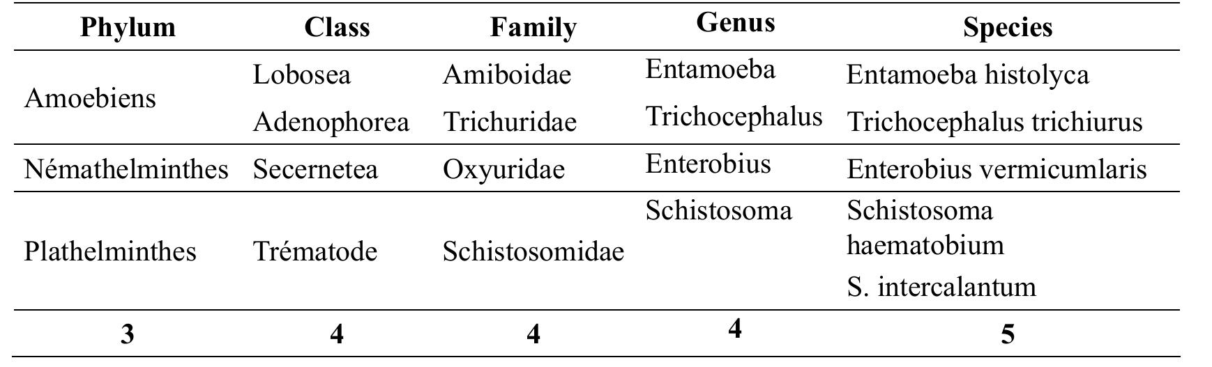 Table 4. Parasites identified in the digestive tract of fish Tilapia tholloni  Microscopic analyses of the stomach contents of Tilapia tholloni fish reveal that their digestive tracts are infested with 3 branches, 4 classes, 4 families, 4 genera and 5 species of endoparasites. Of the 42 fish specimens analysed, the digestive tracts of 23 were positive and 9 others showed no evidence of endoparasites.  3.3.2 Tilapia tholloni Sauvage, 1884 