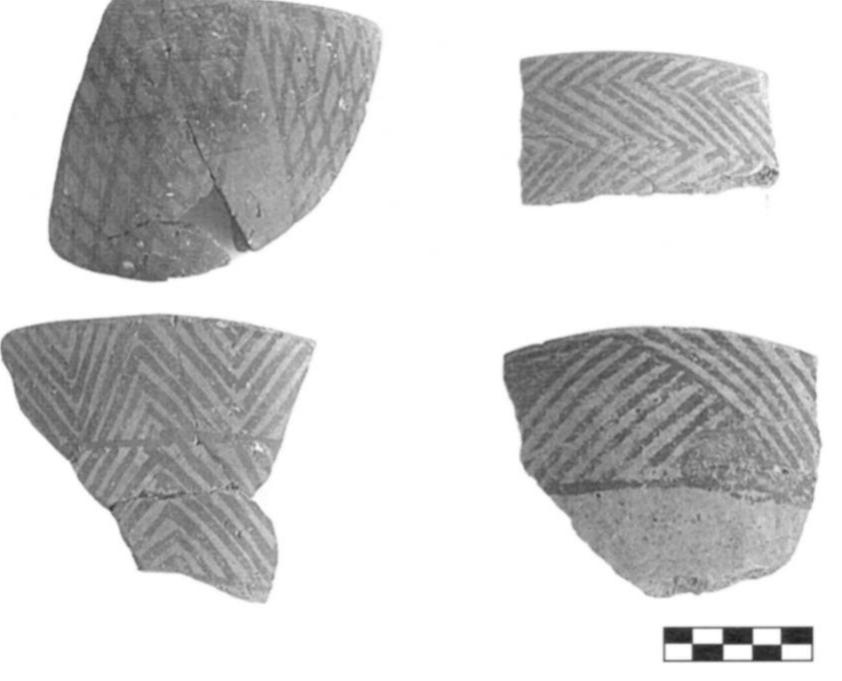 Fig. 3. Late Neolithic Hassuna sherds from Hakemi Use (H. Tekin). 