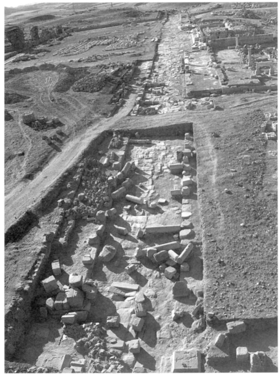 Fig. 28. The so-called Syrian Road at Laodicea, which is ori- ented east-west, view from east end (C. Simsek). 