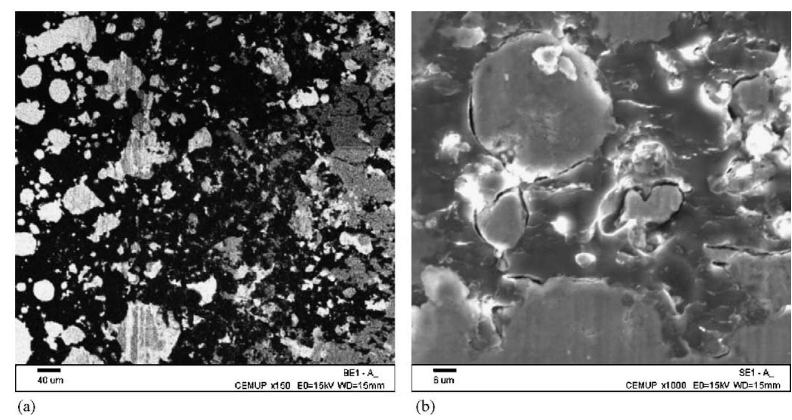 Figure 6 - from Tribological behaviour of epoxy based