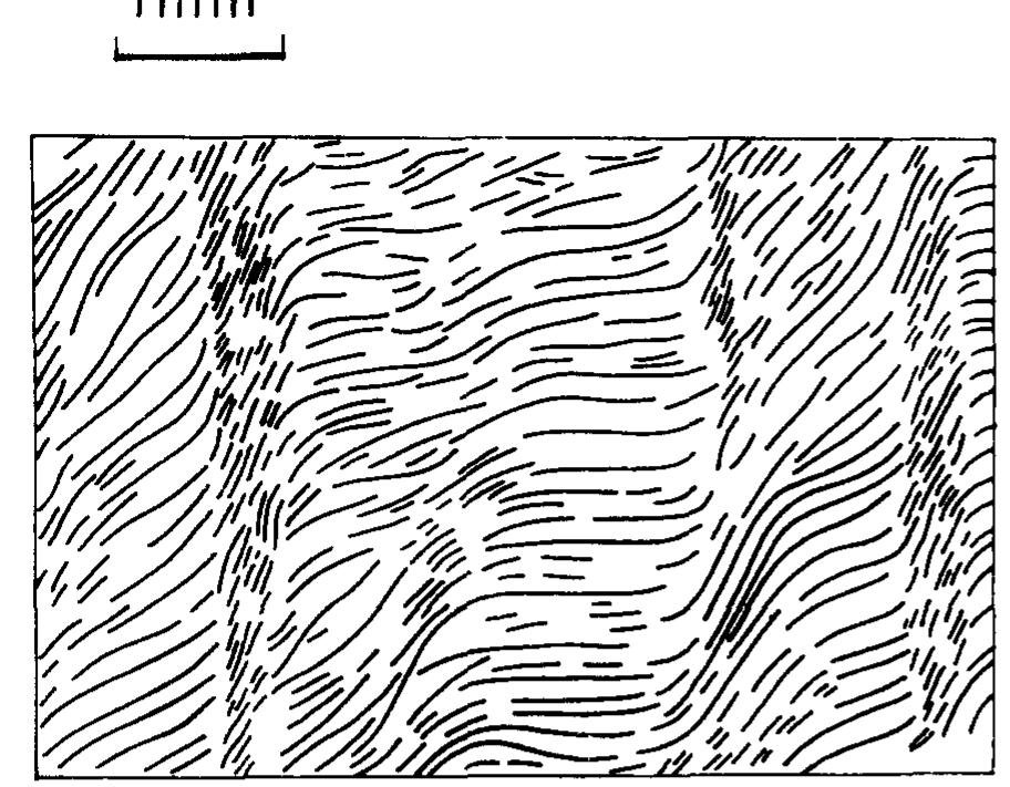 Strong Inclination Examples of fold and cleavage (extensional vein arrays)