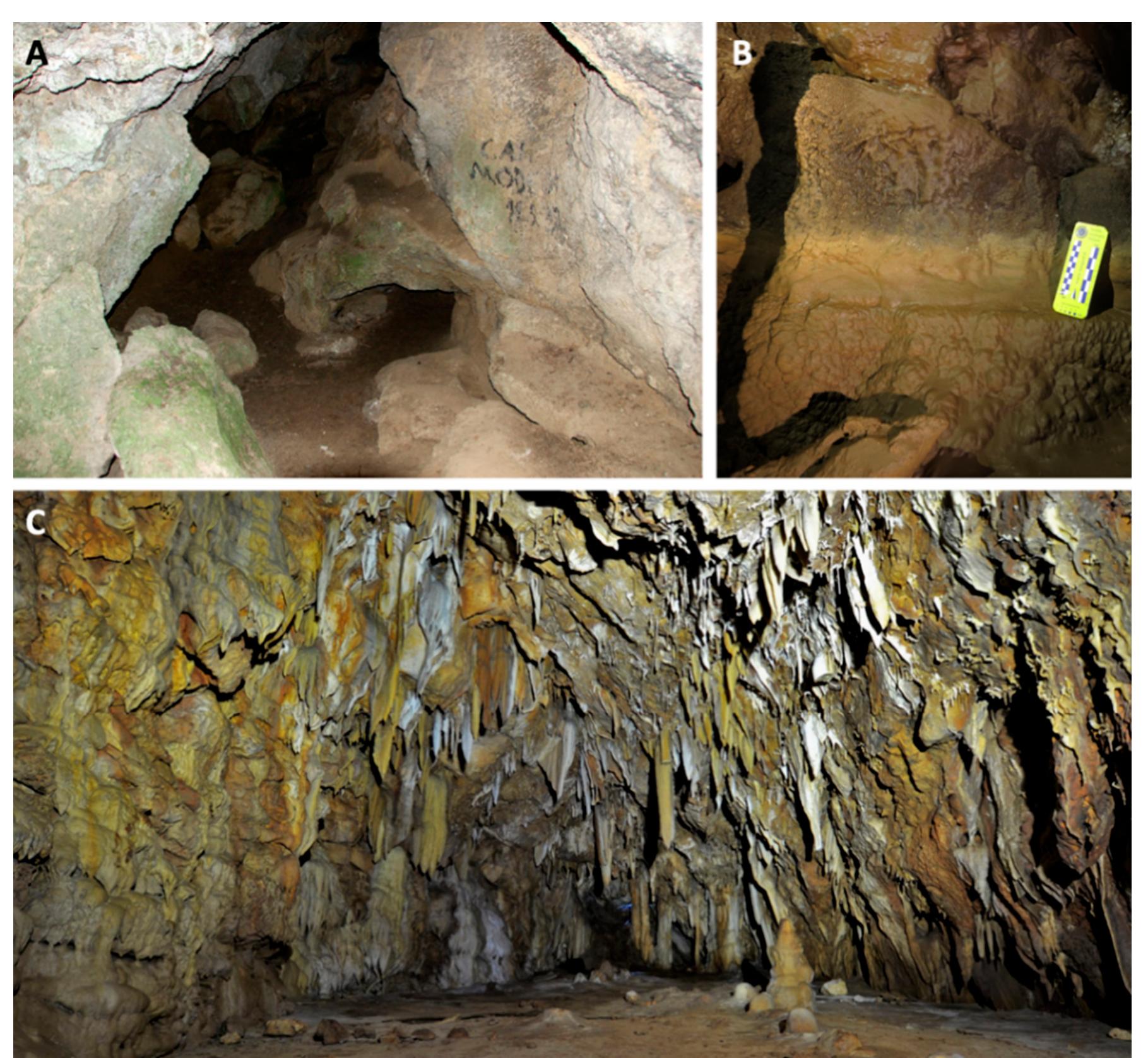 (PDF) The Sustainability of Rock Art: Preservation and Research