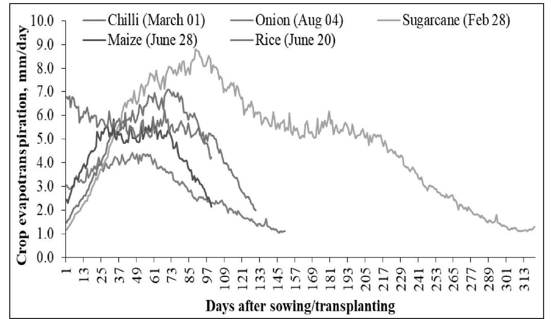 (PDF) Assessment of irrigation water requirements for different crops ...